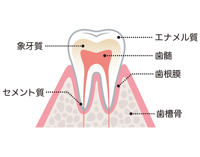 歯が浮いている感覚がする原因